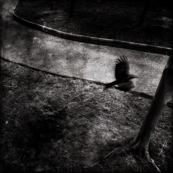 攻击网站的方法